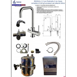 Depuratore acqua con filtro ITS Todini Seagull IV X-1 Completo di Rubinetto 3 vie Giulio
